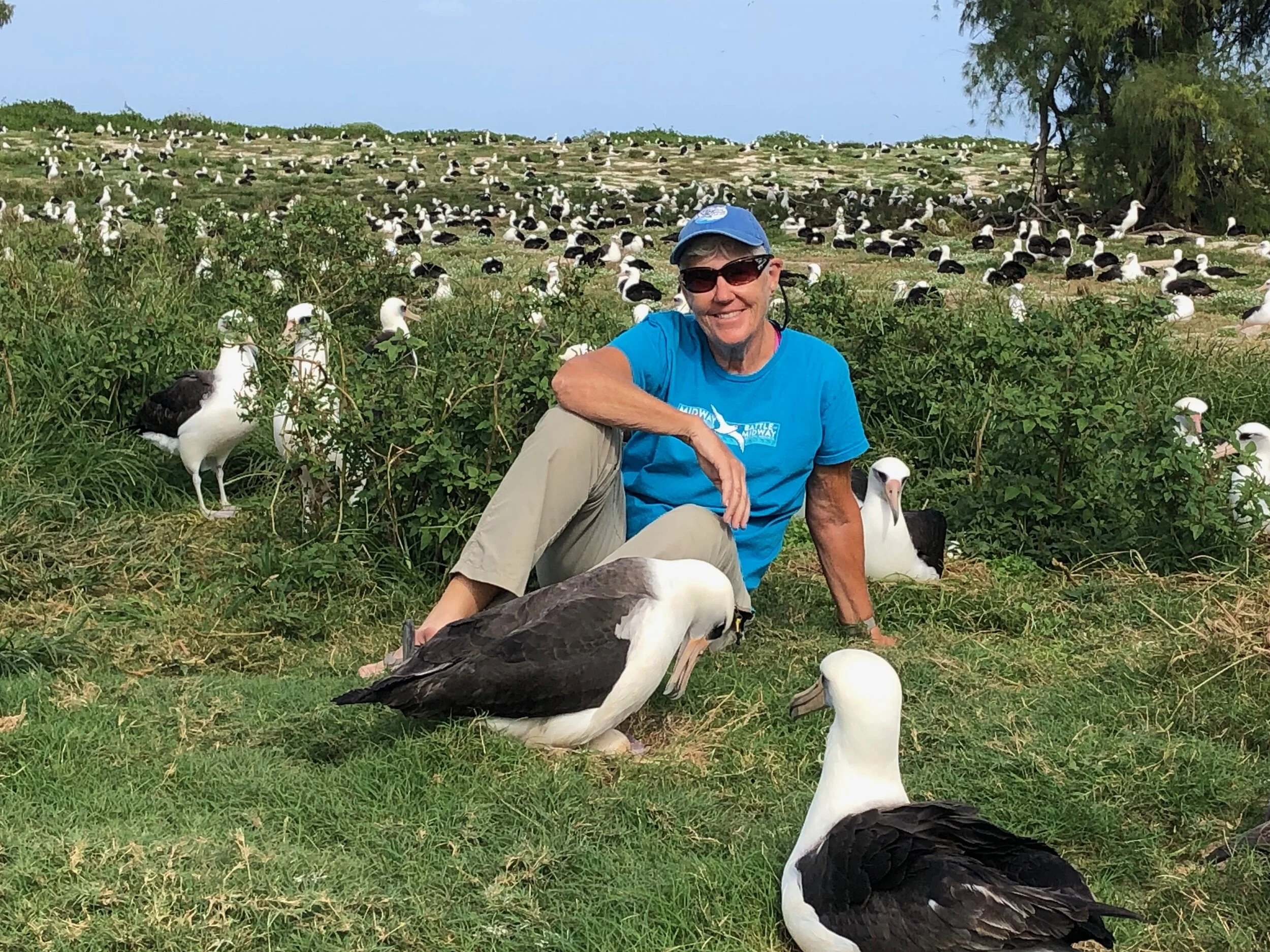 Wisdom’s a Mom Again: World’s Oldest Wild Bird is One in a Million (Younger) Mōlī Parents