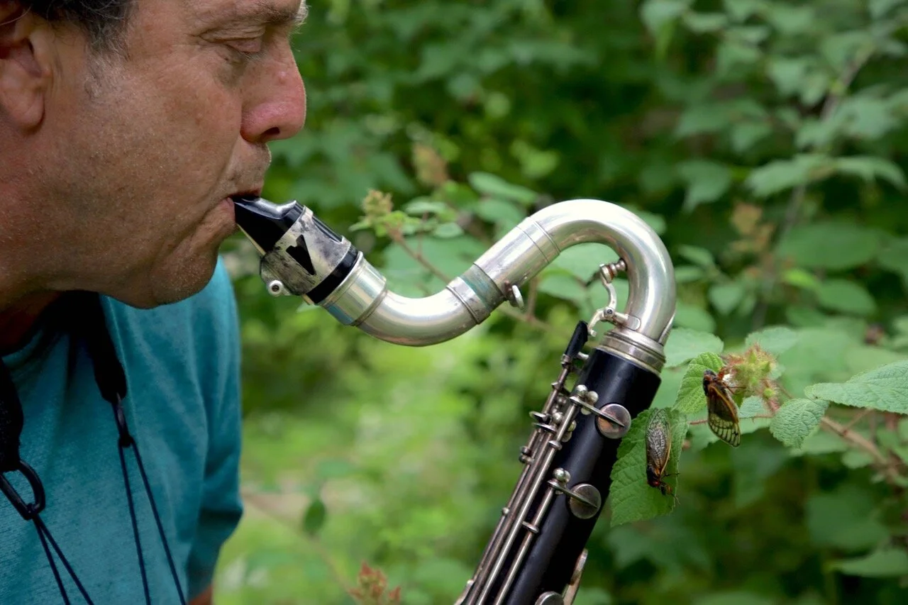 Brood X: This Is the Real World, and We Are In It