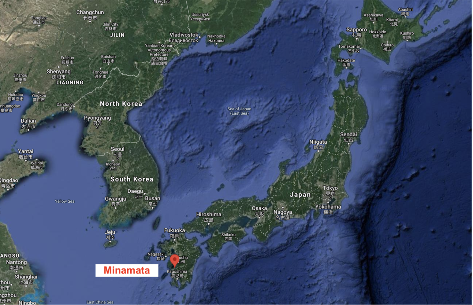 A History Lesson About Bioaccumulation from A Small Town in Japan