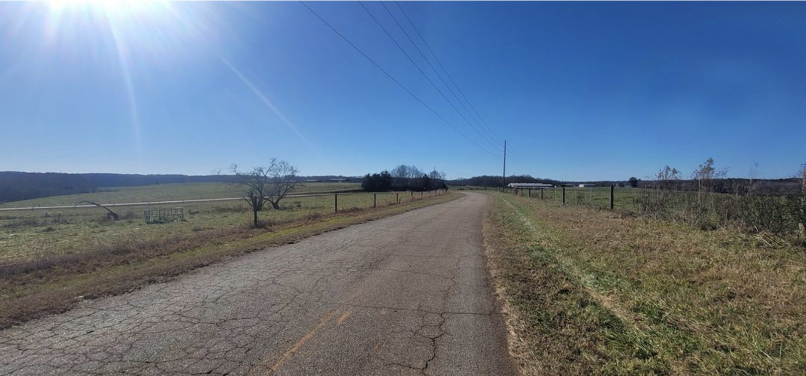 Single-handed Bird Math: Elegy for a Christmas Bird Count