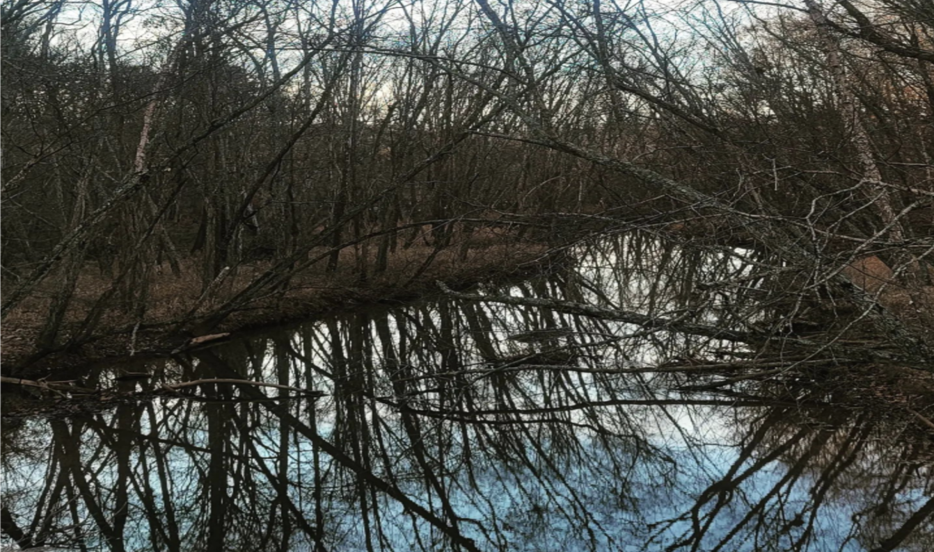 Two Poems for Two Bobs