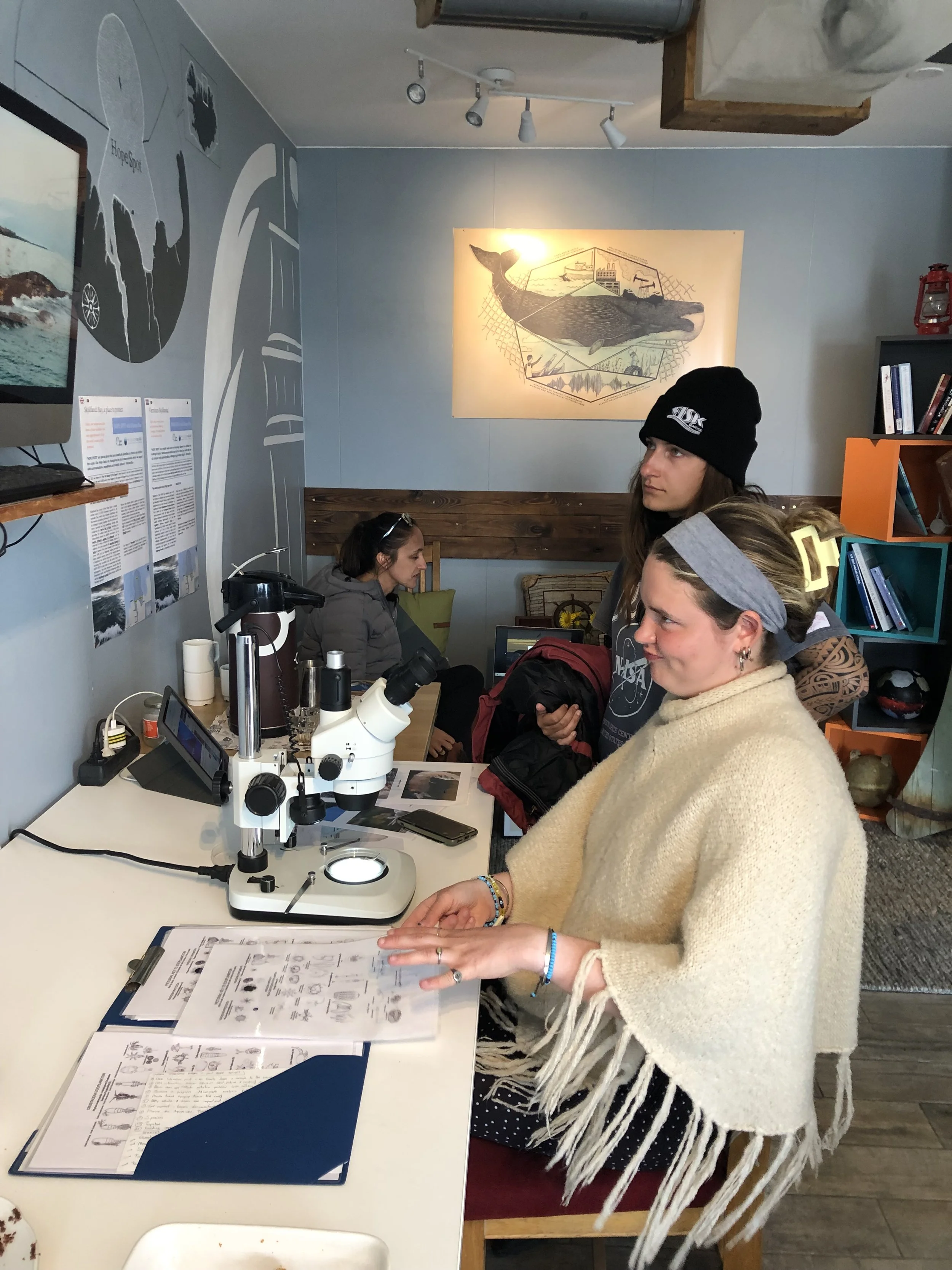 Learn, connect and act for our oceans in the Ocean Missions new exhibition room