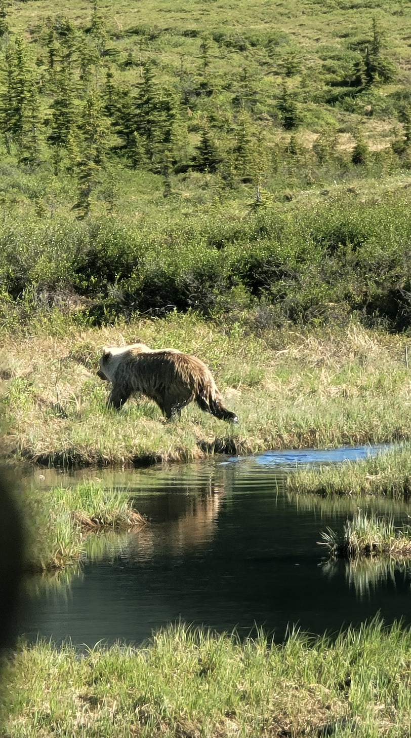 Lessons from Camp Denali 