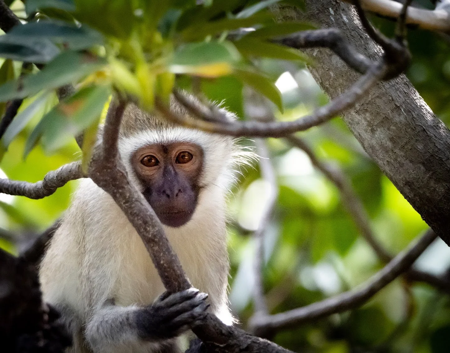 Lamu: A fishing paradise  