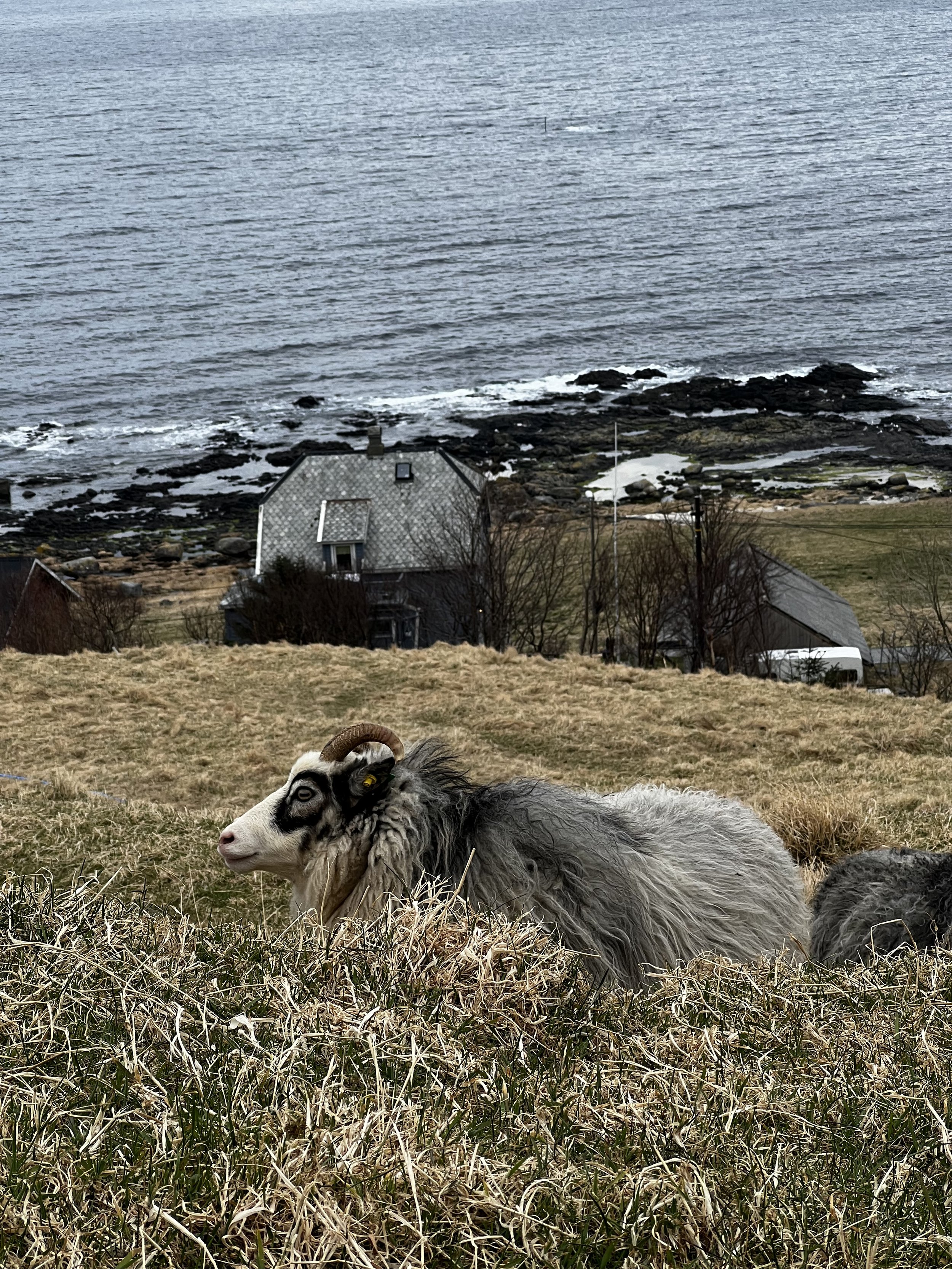  Hiking in Runde Island. ©Belén Garcia Ovide 