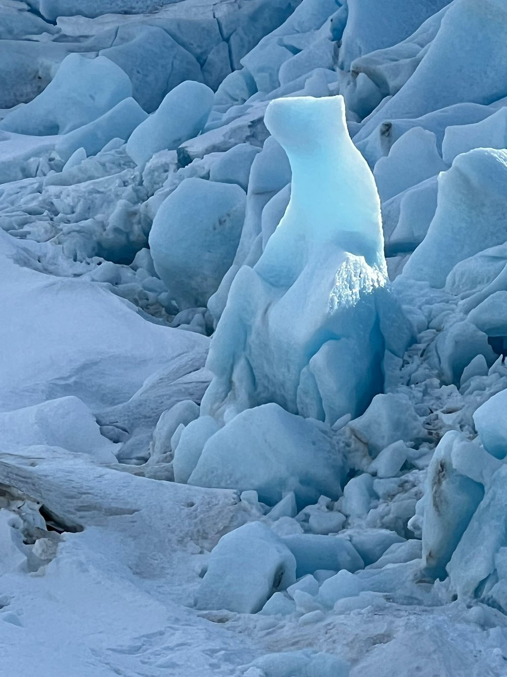  “Polarbear” sitting on the ice. ©Belén Garcia Ovide 