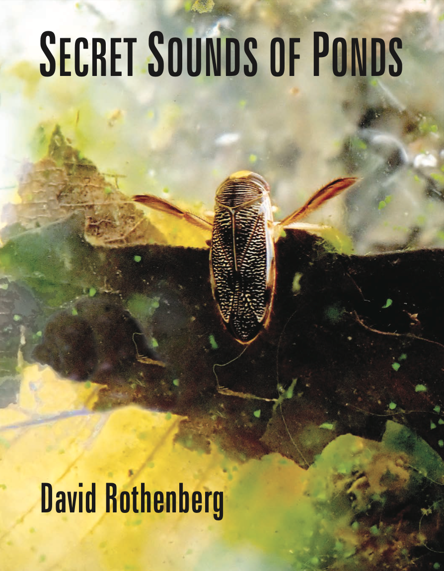 Secret Sounds of Ponds.png