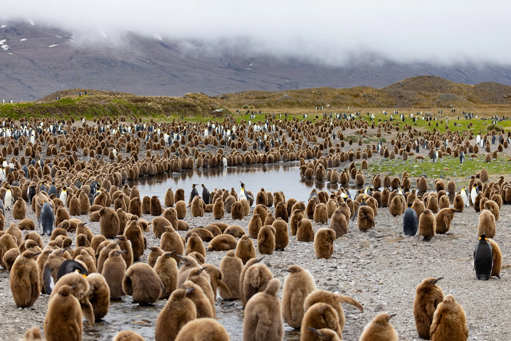 Flu Season in the Antarctic - Part 2