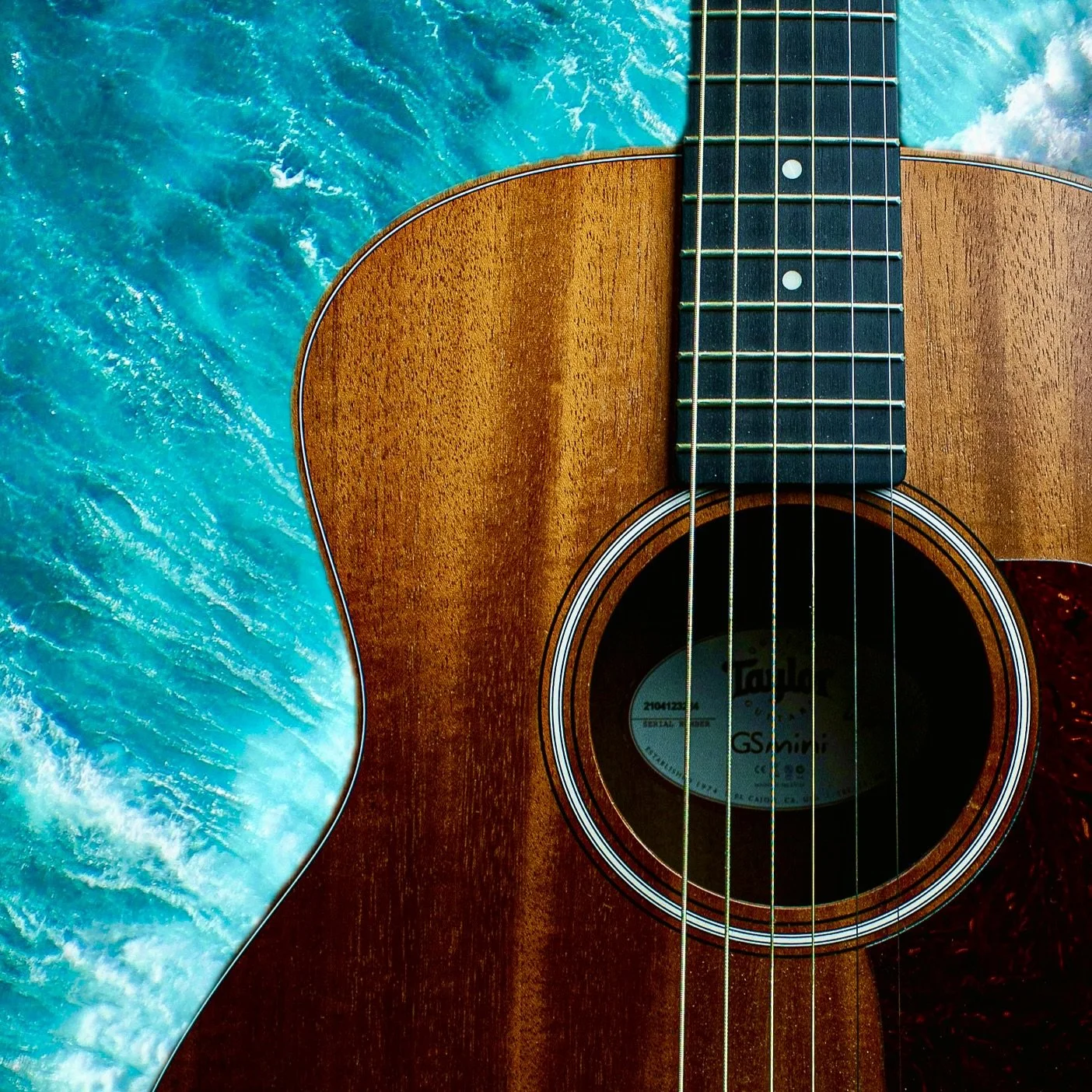 Rewilded Dreams: Remapping a Tourist Zone in Paseo