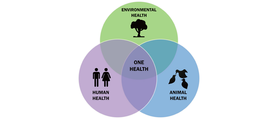 We’re Not Doing One Health Right