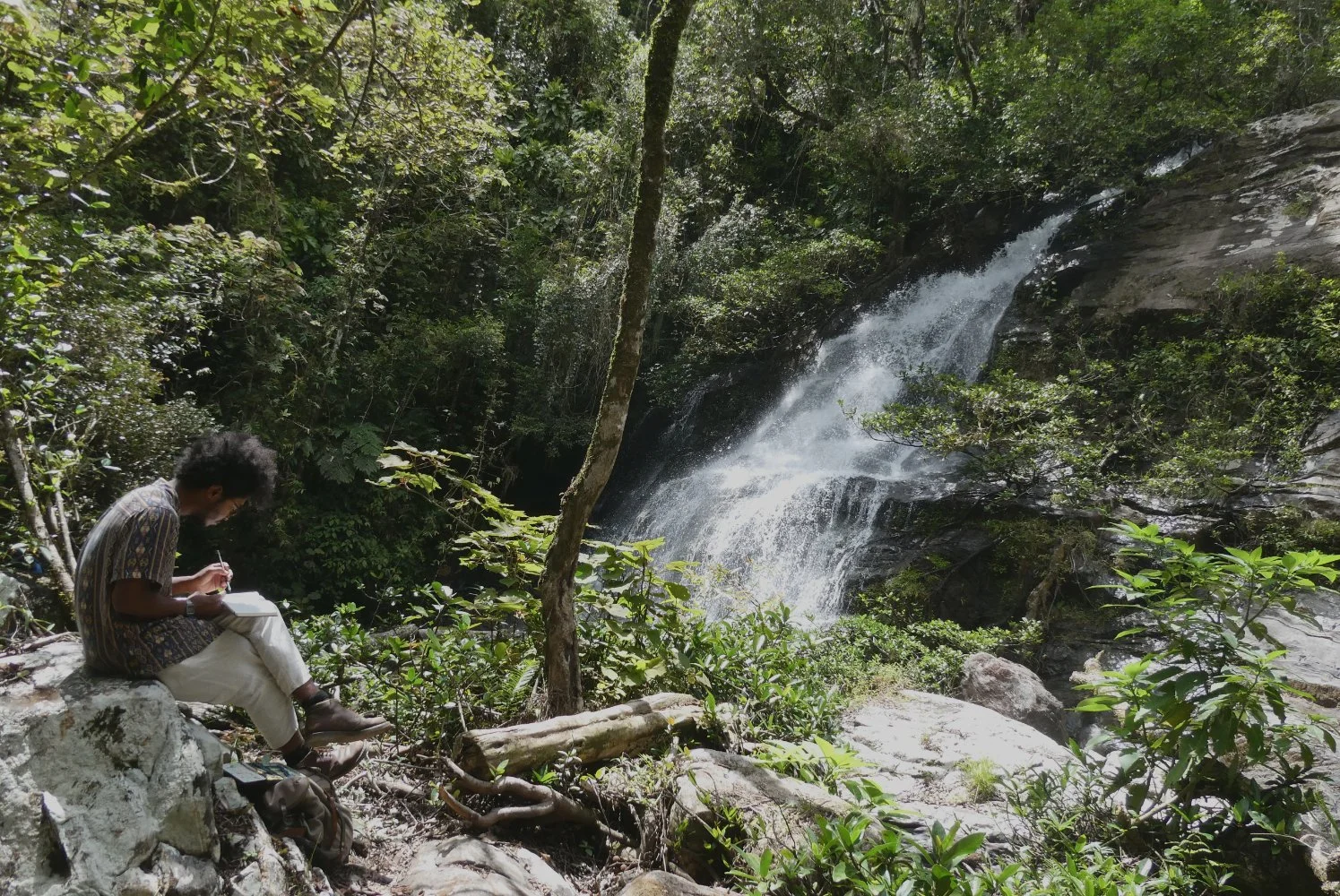 Capturing the Essence of the Andregna Waterfalls — The Safina Center