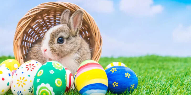 Easter Newsletter 2020