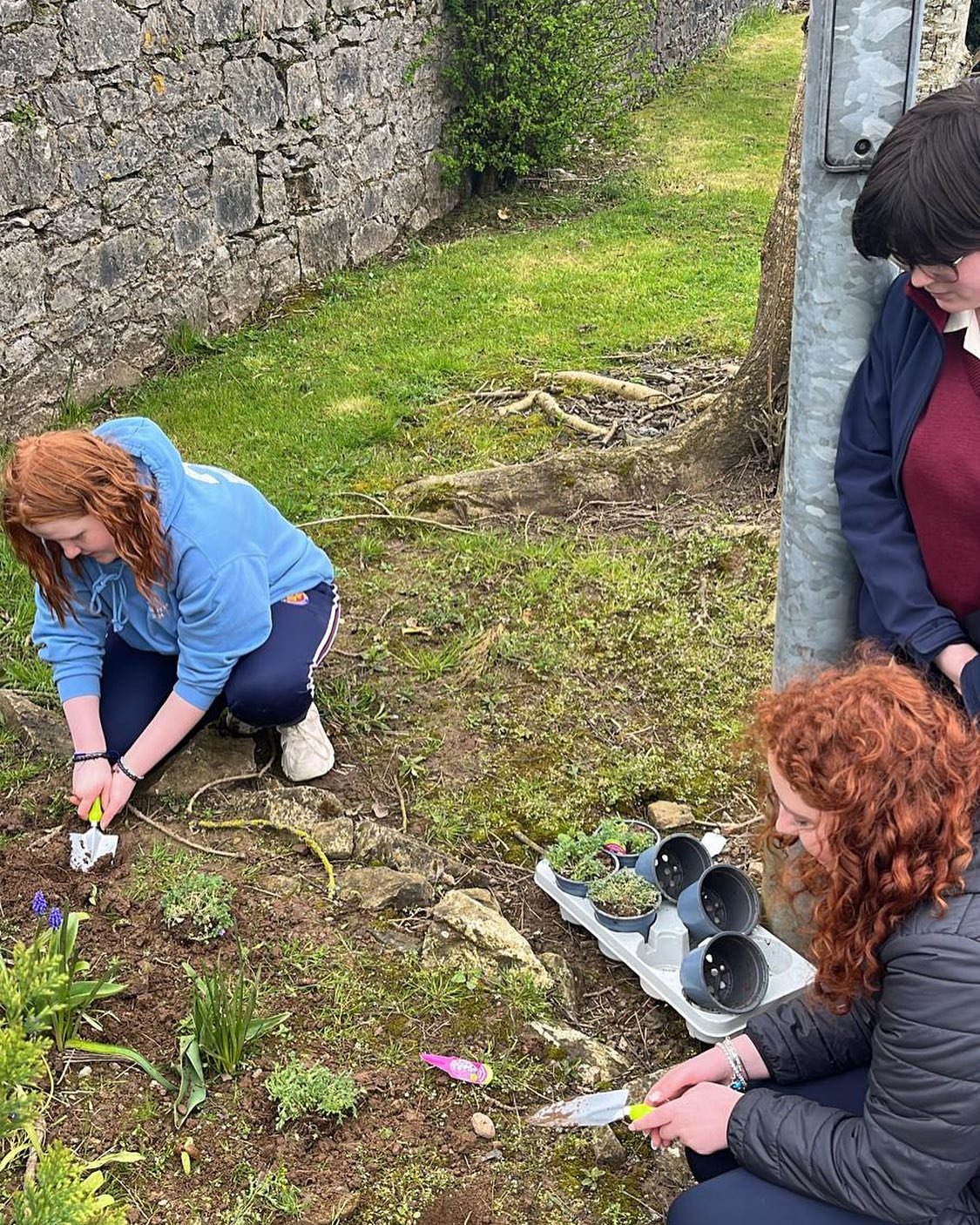 GREEN FINGERS 🌱🌻🌺🌸Today we got our first real feel of Spring in PRES, and what better way to celebrate than to plant some lovely lavender plants in the sunshine. Well done to Mikala Coleman, Ellen Cashman and Aoife Luddy for bringing some colour 