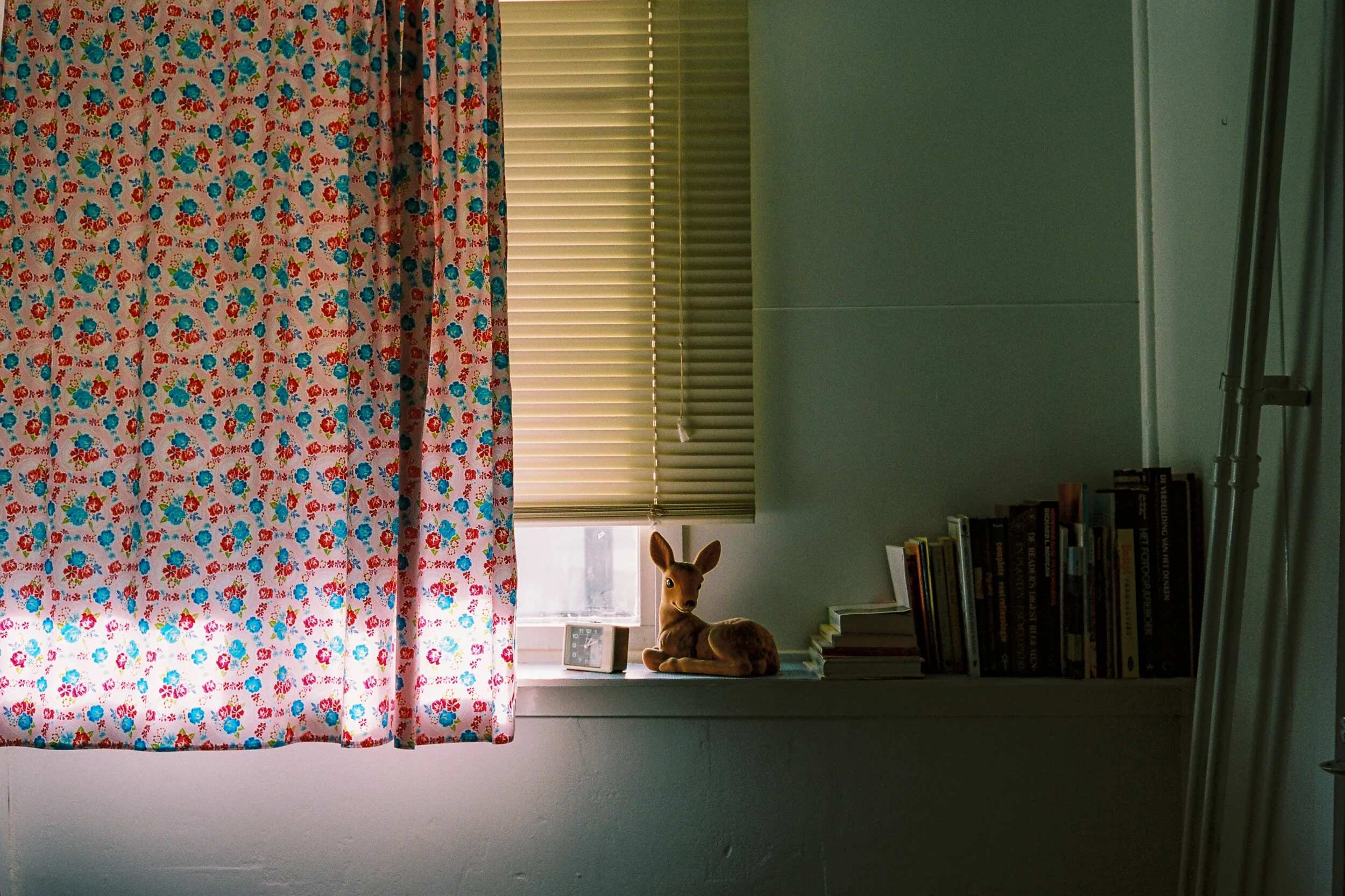 Four days on the road with the magnetix-42.jpg