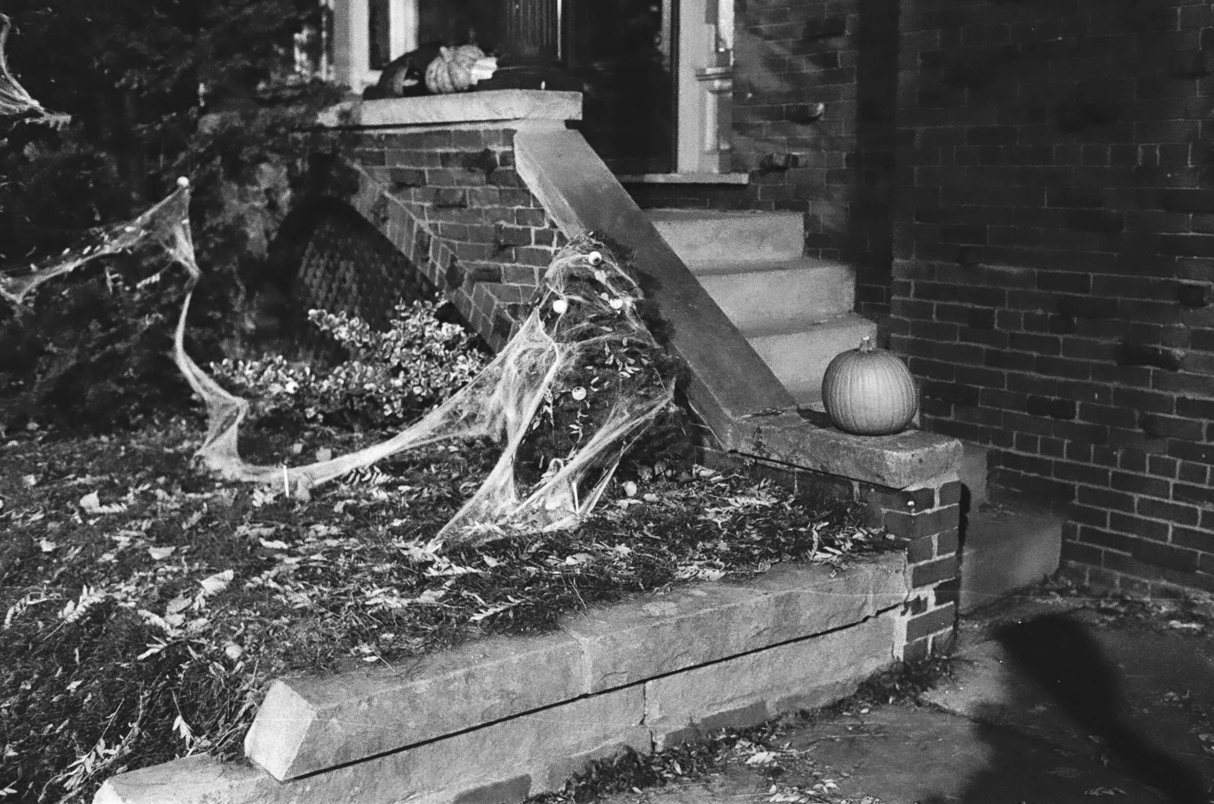 halloween 2020-22.jpg