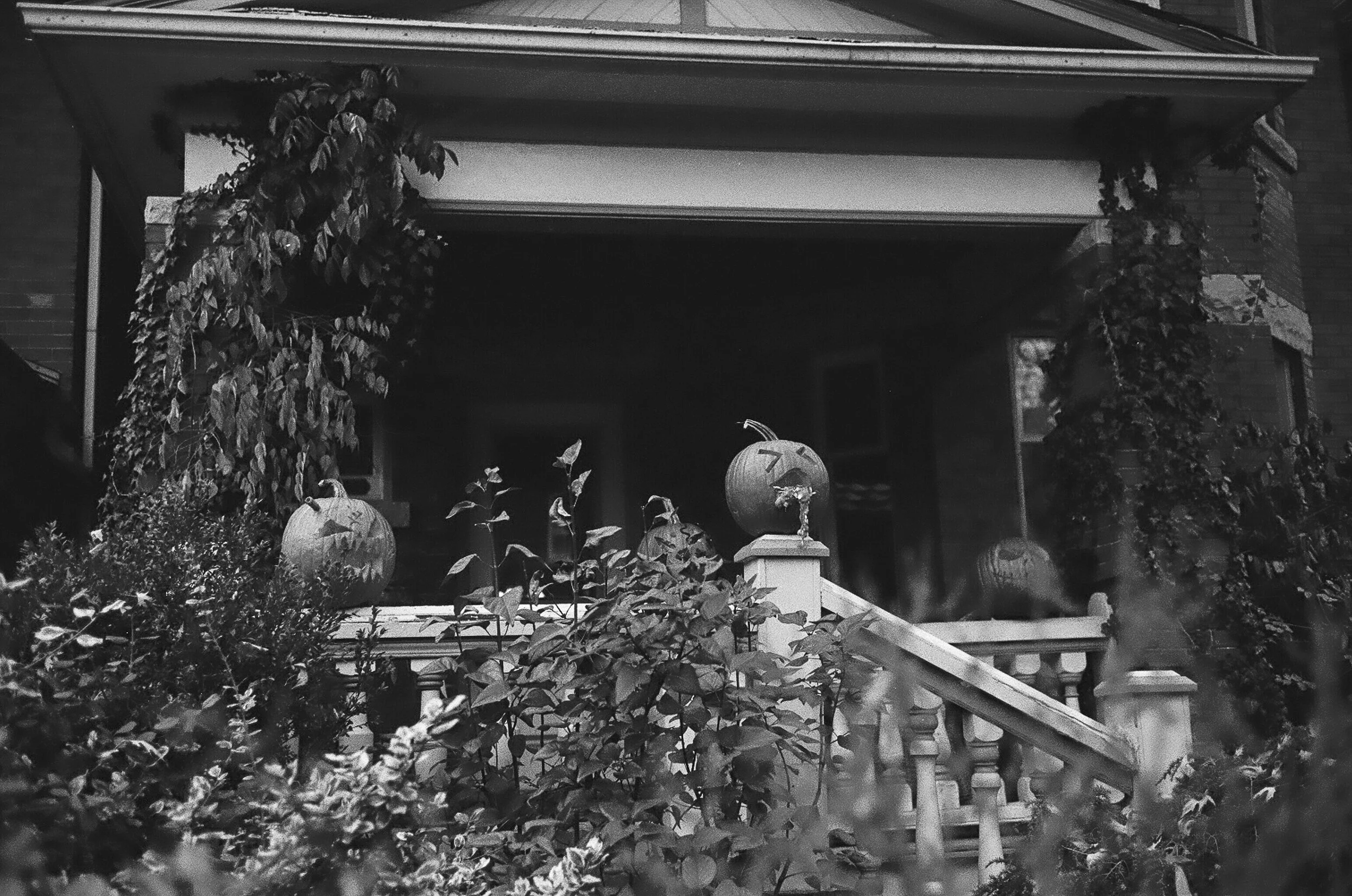halloween 2020-24.jpg