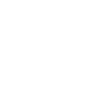Mountain Toad Holiday Market