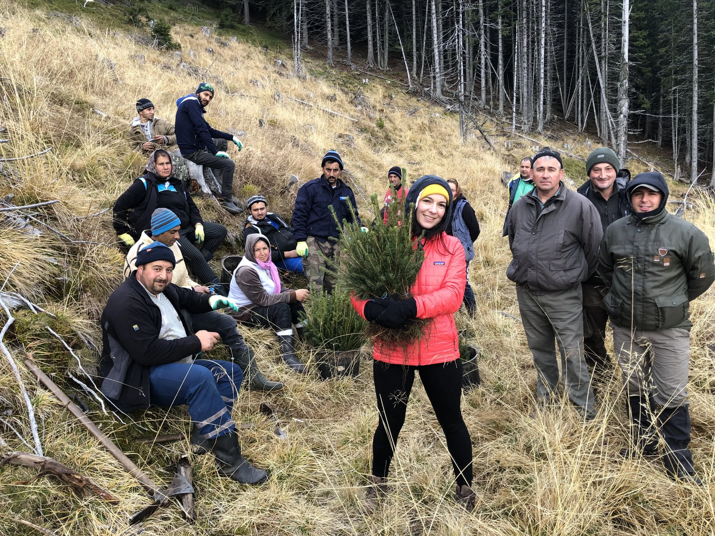 15,000 Trees planted during our Autumn 2019 Plantation