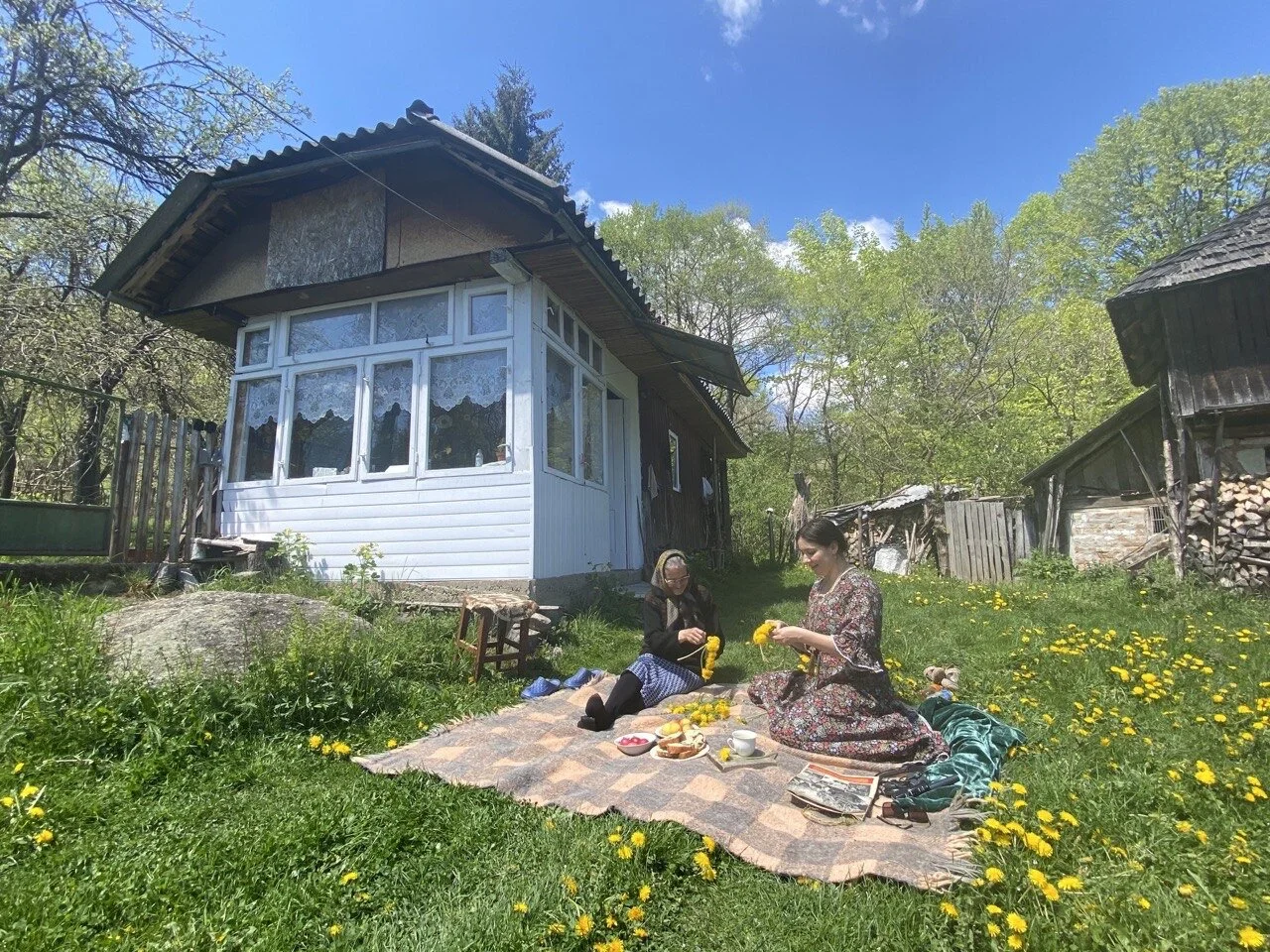 Songs for new seedlings