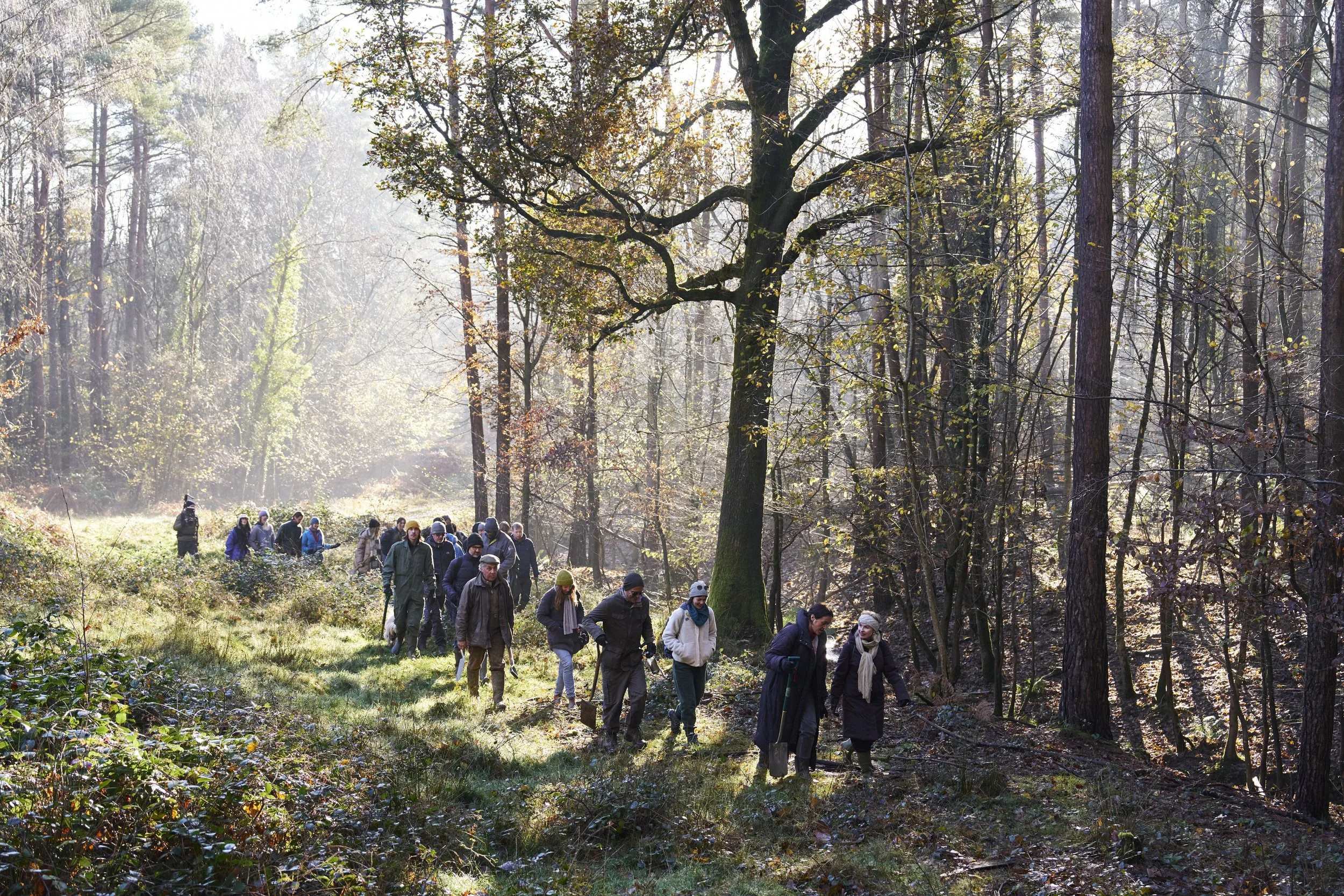 2024_11_28 Wilderlands_0003_Low Res.jpg