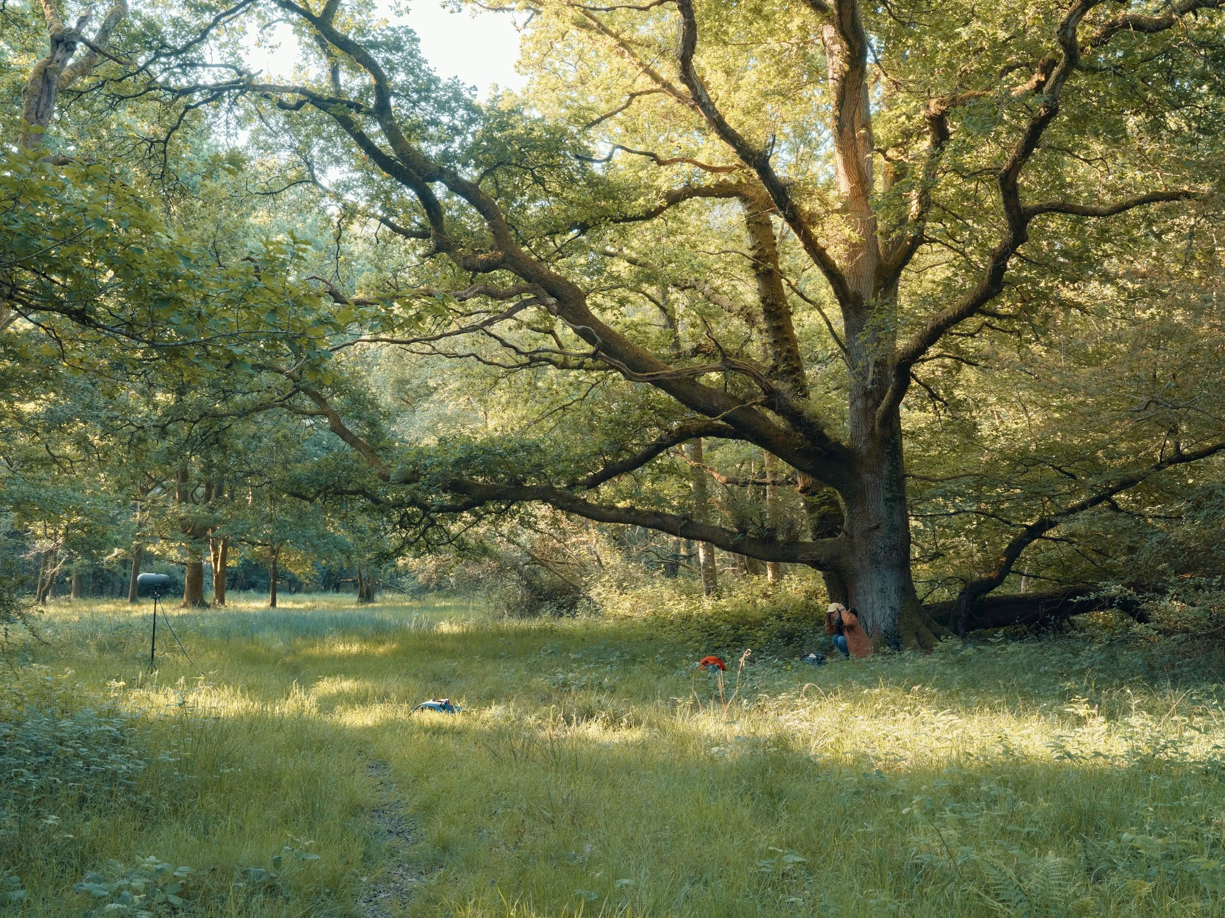 All the world's a stage...