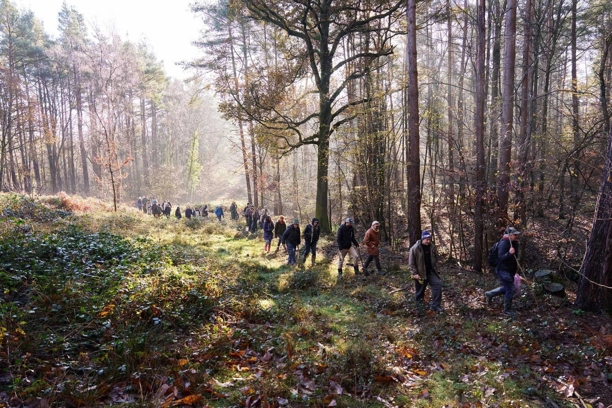 Six years of Forests Without Frontiers - Celebration & Fundraise, 21st March