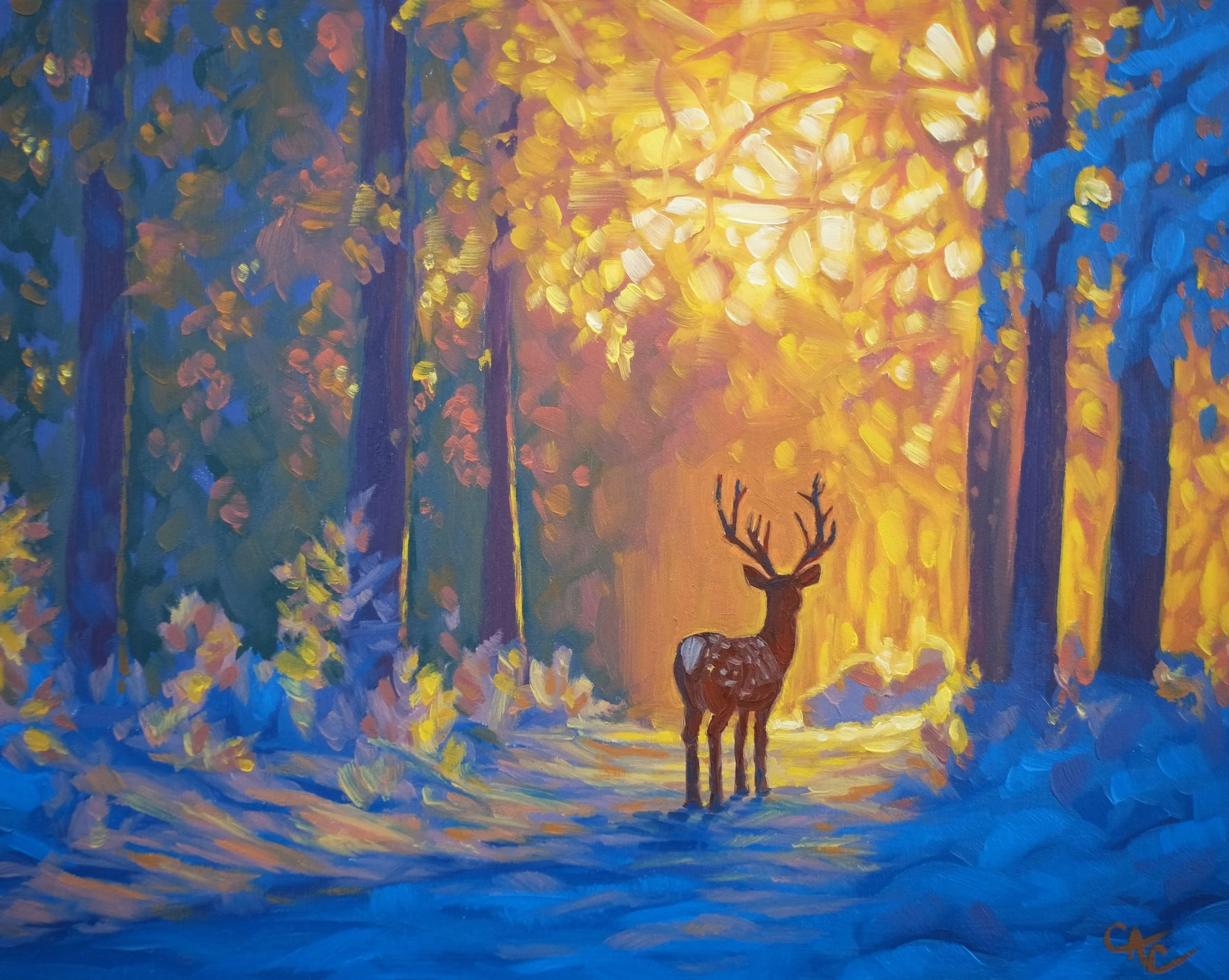 Whisper From The Forest