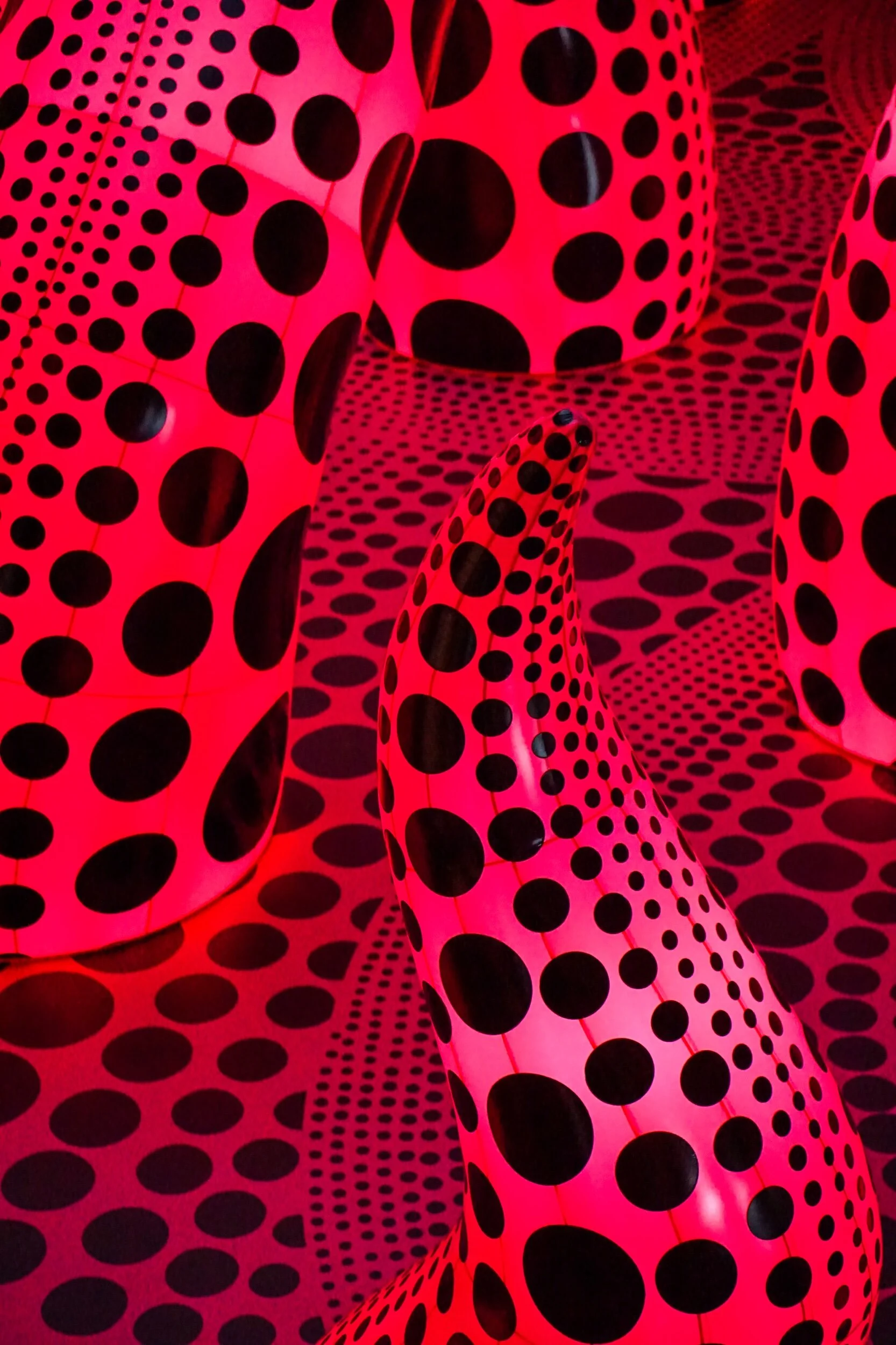 Close up de tentáculos rosas Kusamianos