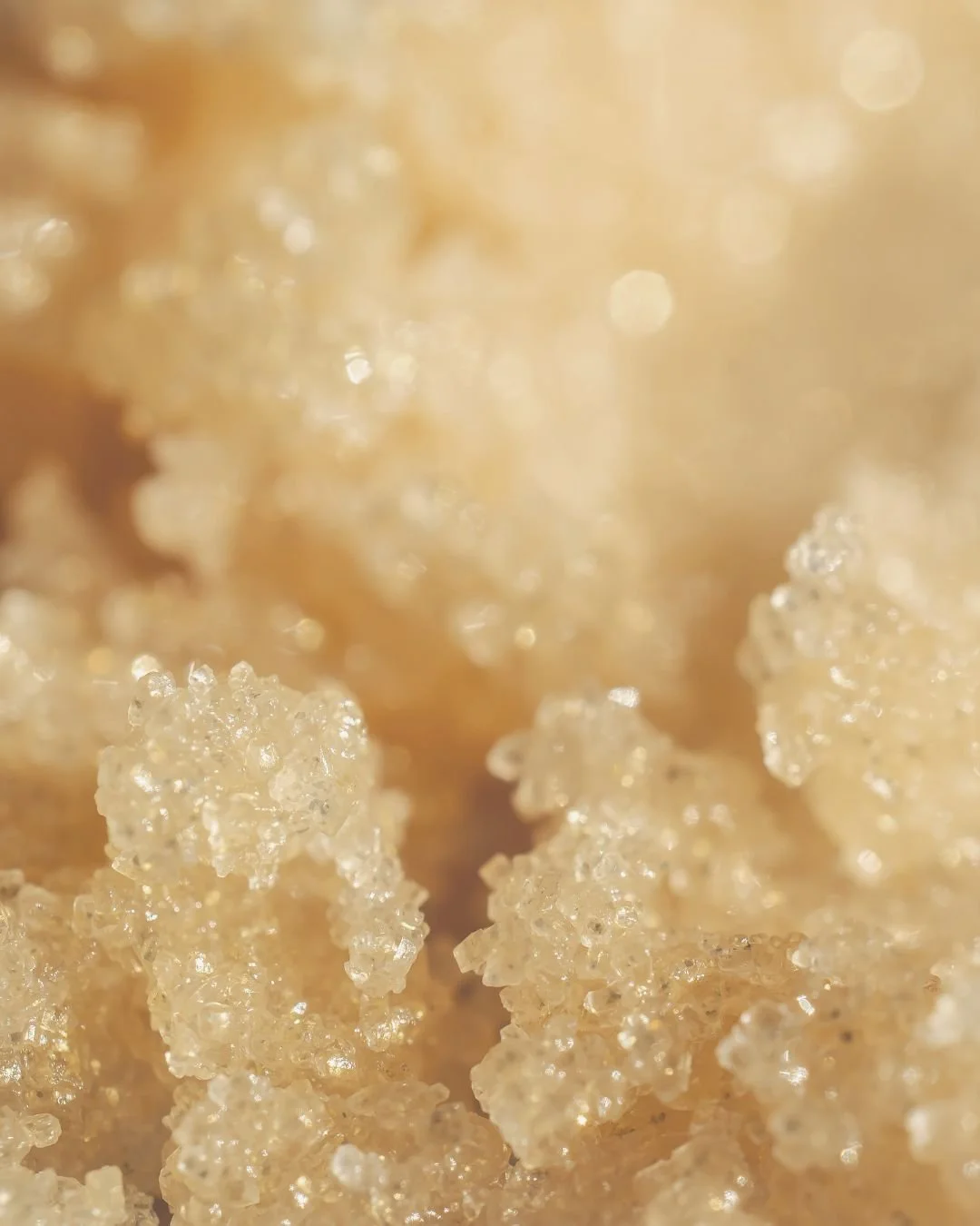 Close-up of crystallized brown sugar granules.