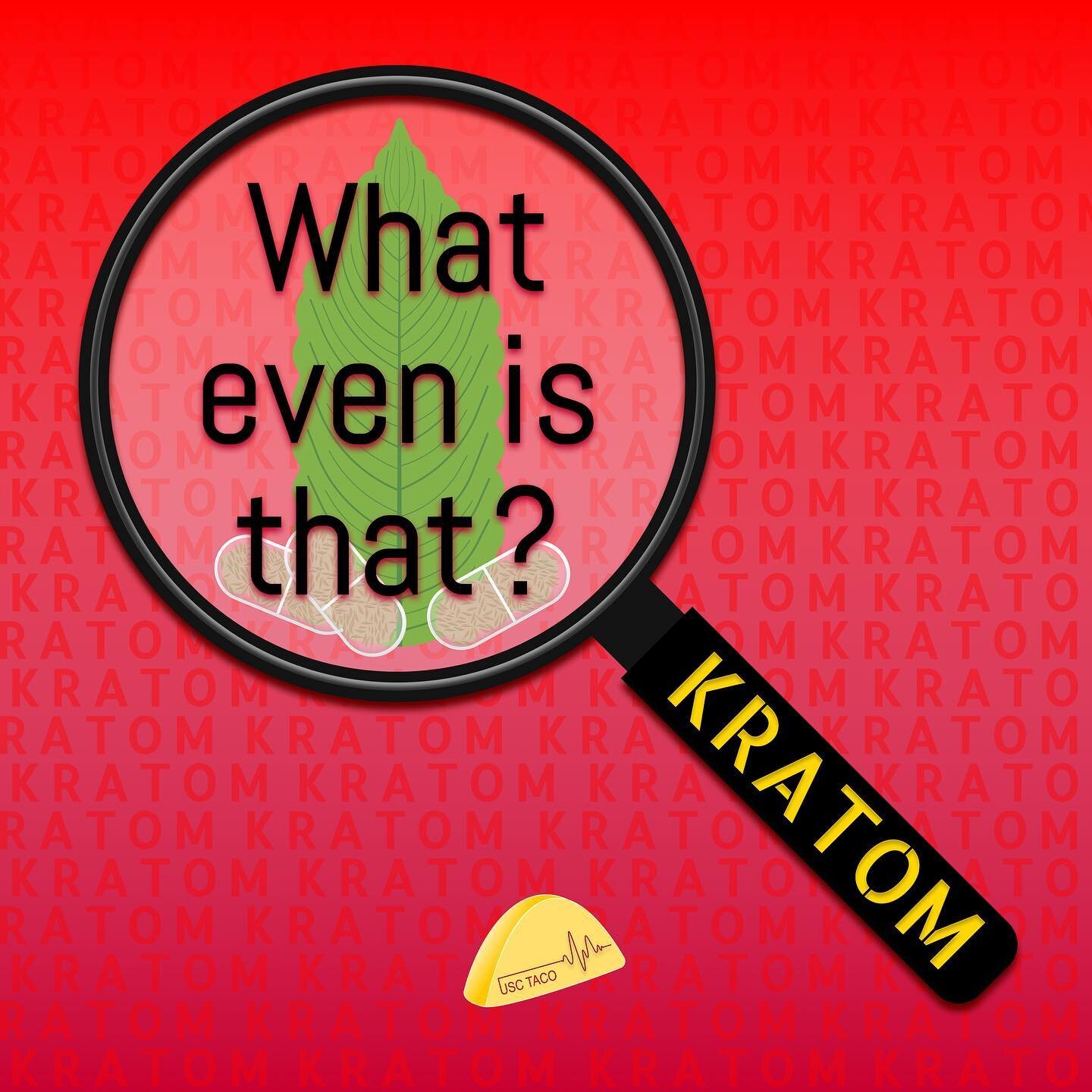 What even is Kratom⁉️
&bull;
🍃🪴Kratom is an herbal supplement with opioid properties. For this reason, it has gained popularity in the US as a method of easing symptoms of withdrawal from prescription opioid drugs or heroin💊
&bull;
🌳🌏 Kratom lea