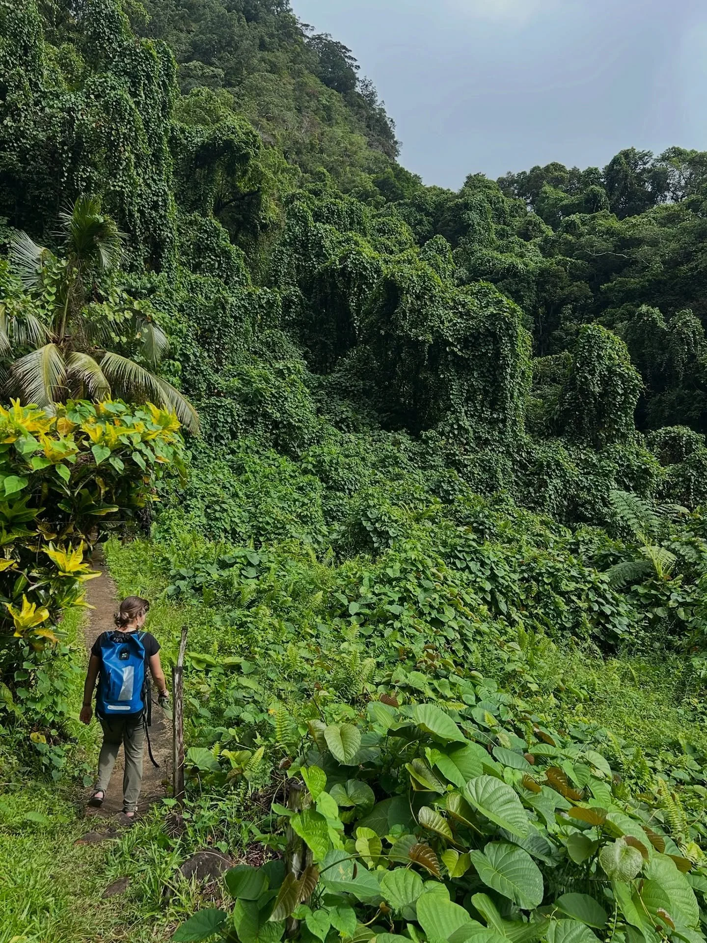 Vanua Levu via Jimny 🚙  From remote villages to quiet hikes to bustling Labasa, our day exploring by land did not disappoint!