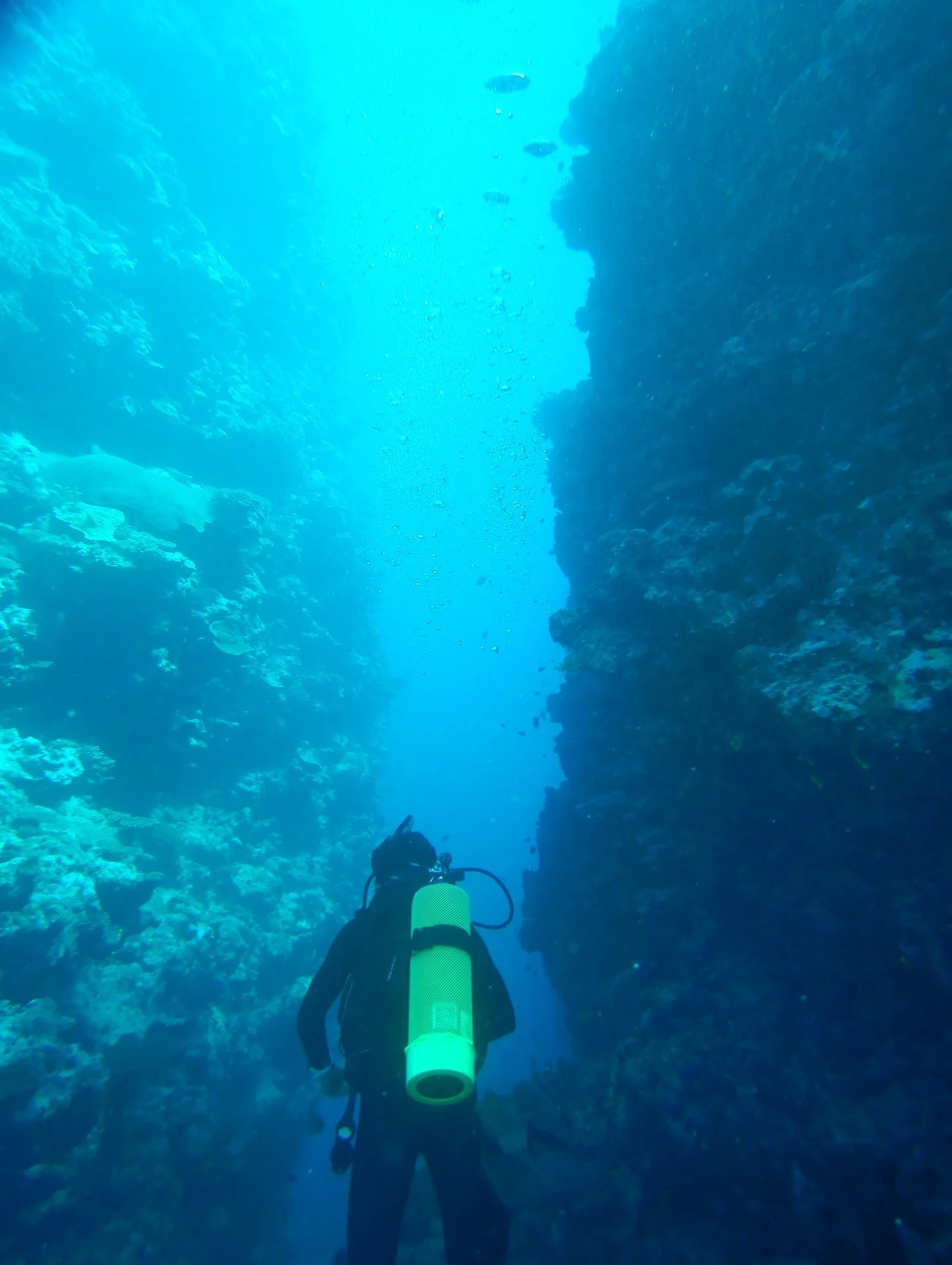 We&rsquo;re such big fans of canyons on land, we had to find them underwater too ⛰️🪸 Unreal soft coral in Fiji, and critter friends from nudibranchs to mantas! Swipe to see how happy Jack was about the healthy coral 😁

📍 Rainbow Reef and Kadavu 

