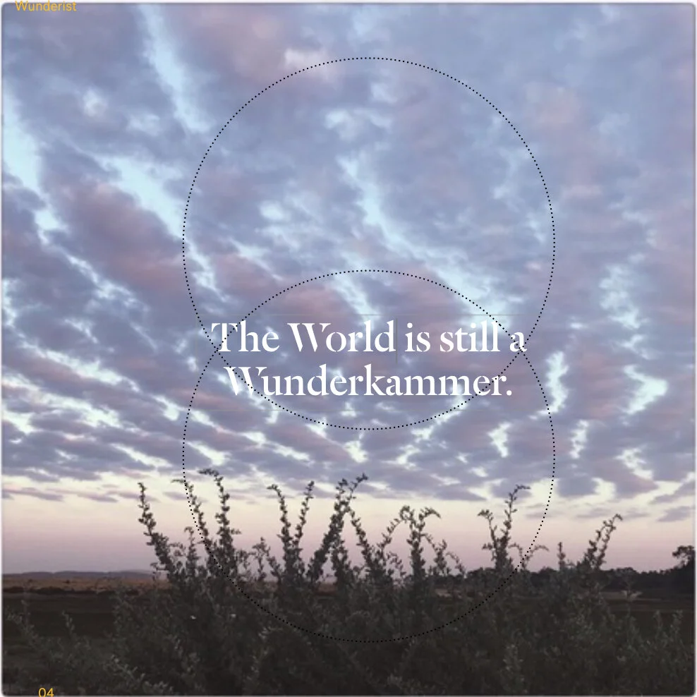  © 2021 Larissa Giers 