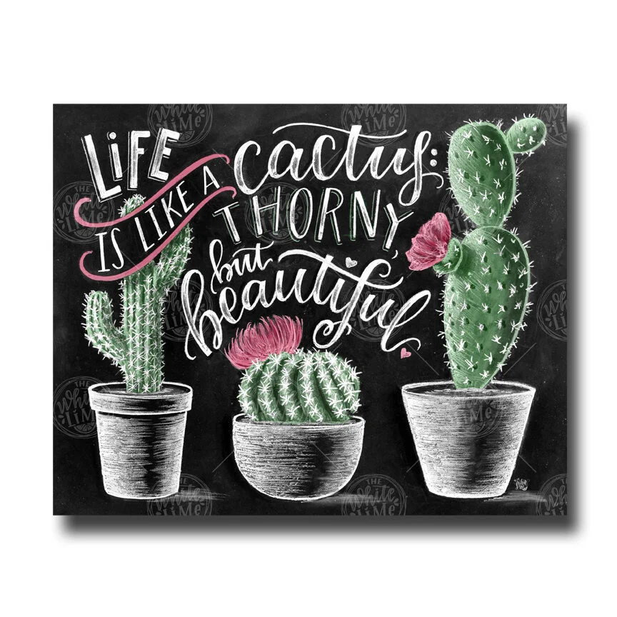 • Life Is Like A Cactus: Thorny, But Beautiful •