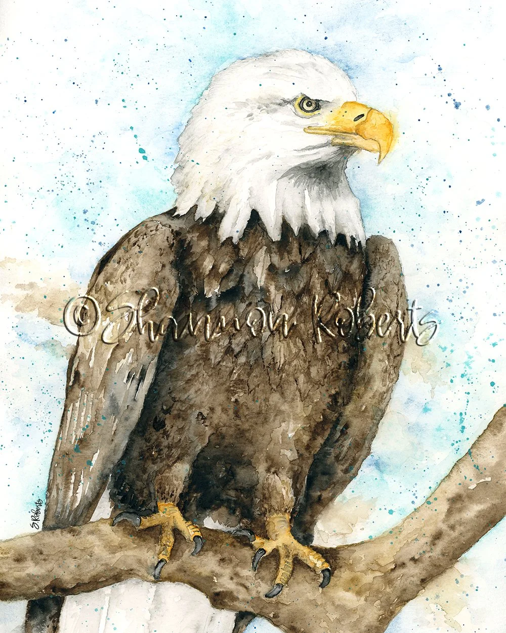 bald eagle watercolor painting by Shannon Roberts, watercolor bald eagle art perched on a branch