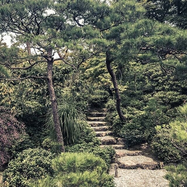 A few more beautiful scenes from Arashiyama in Kyoto.