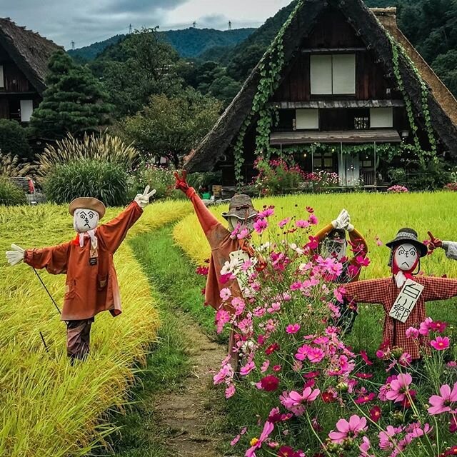 Charming gassho-zukuri houses in Shirakawa-go are surrounded by verdant green rice fields and colorful gardens, orchards and Lilly ponds. &ldquo;gassho&rdquo; comes from the Japanese word for prayer, as the steep shape of the roofs resembles praying 