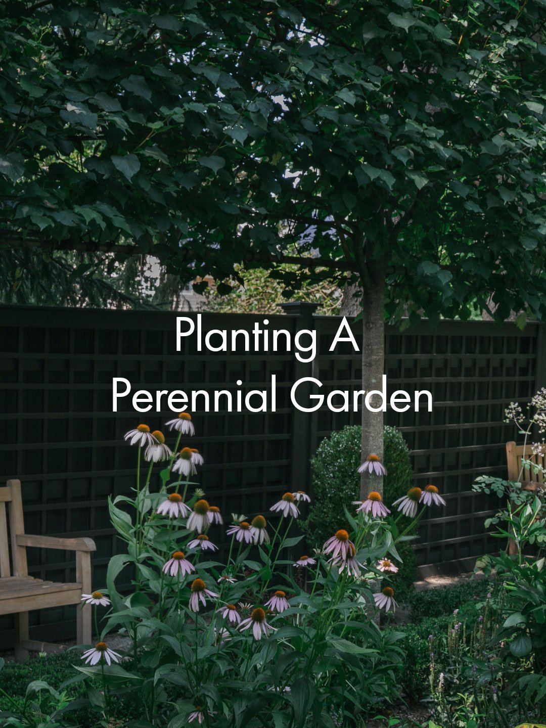 A perennial garden to be enjoyed poolside.

From Echinacea, tiger lilies and irises to climbing roses and peonies, this planting palette has been carefully curated to provide colour, texture and movement throughout the seasons.

As one wave of blooms