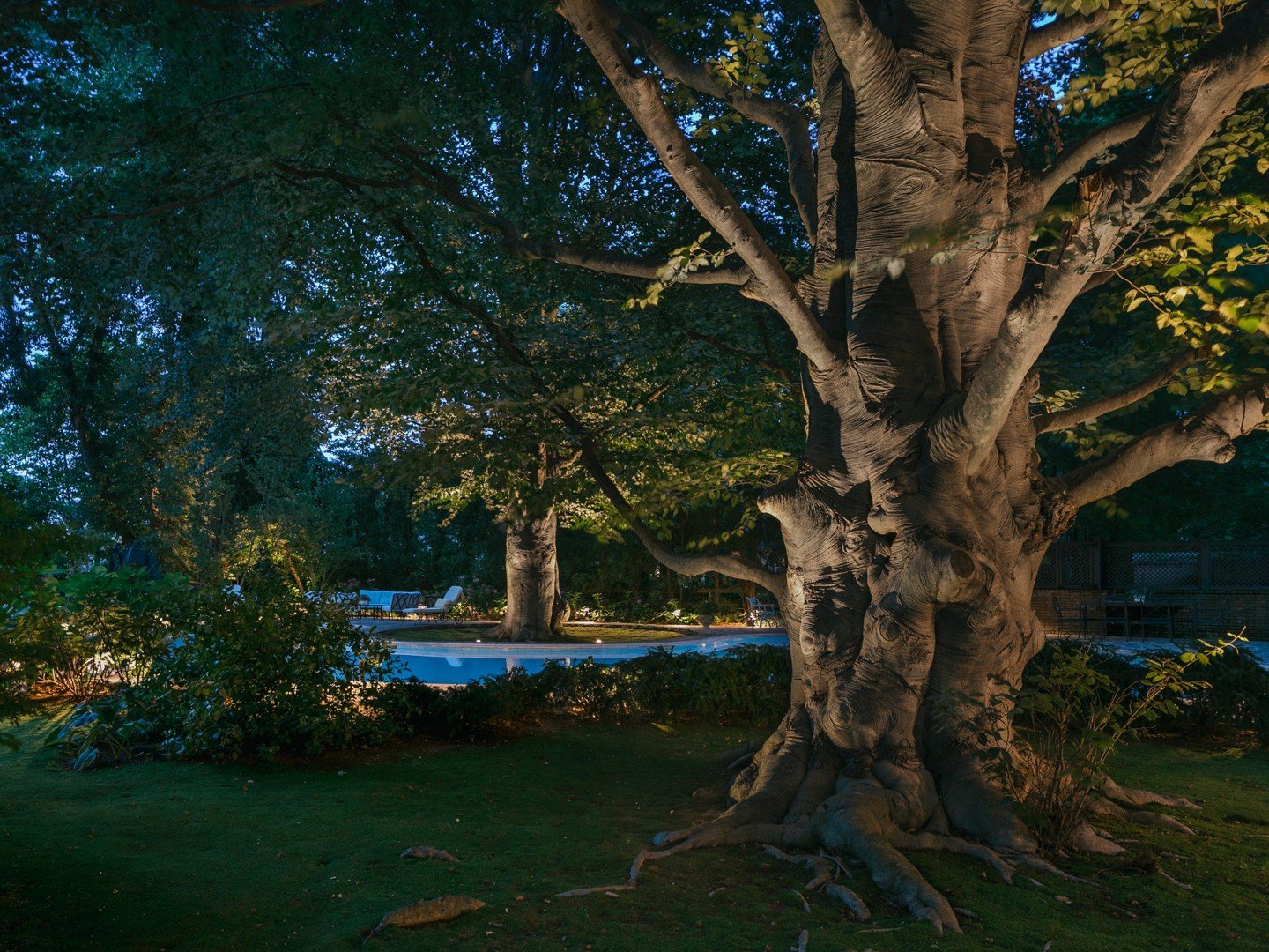 On our first site visit, we were greeted by a stand of mature beech, and it was immediately clear this would be a special project. Alongside the outdoor kitchen and pool, we developed a setting that forms a striking backdrop to the poolscape and pavi