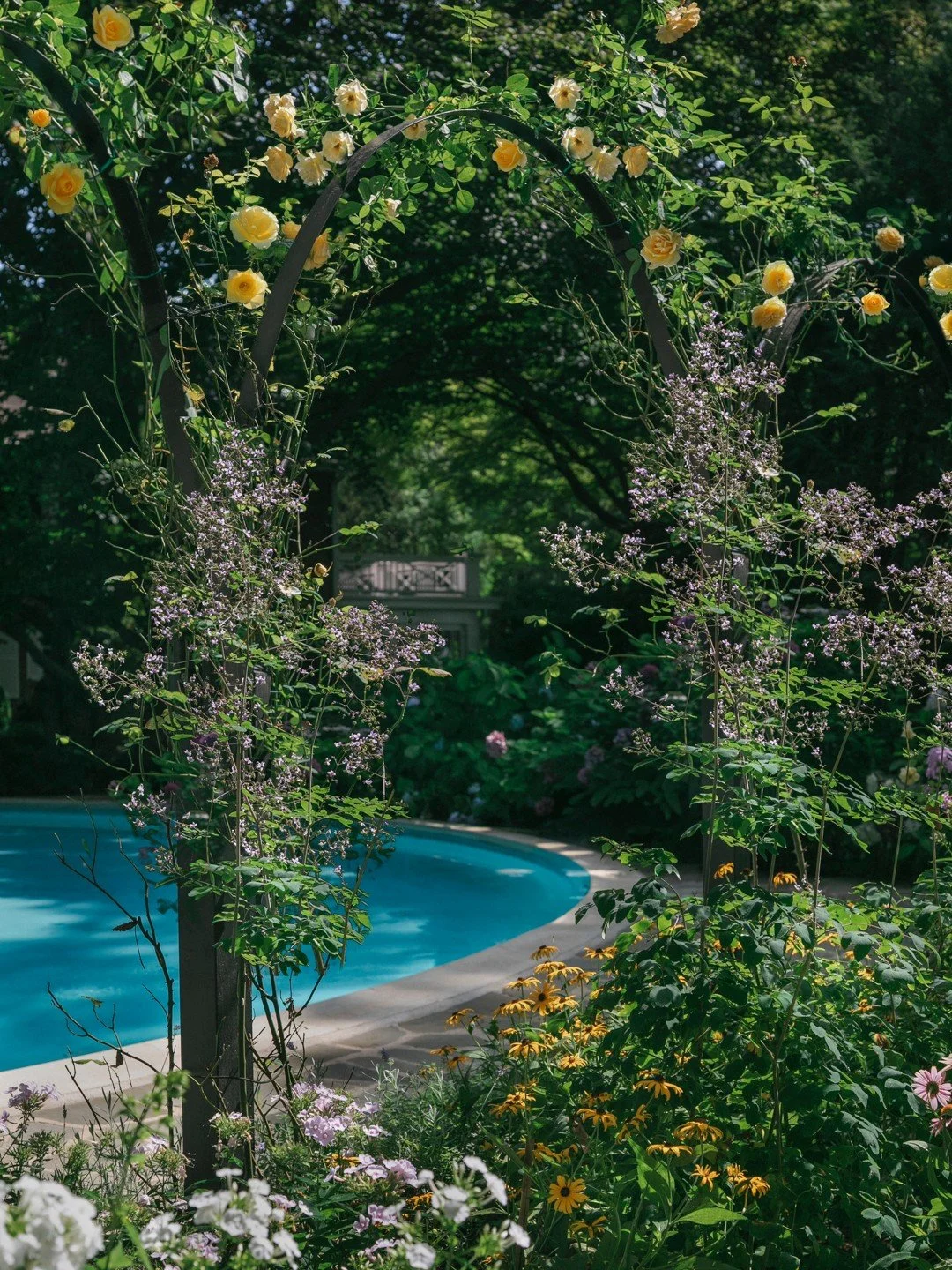 From barefoot walks beneath the trees to cooling off in the curved serpentine pool, this garden was designed for slow summer living. DEA designed bespoke ironwork hoops to support climbing roses, creating soft transitions between the perennial garden