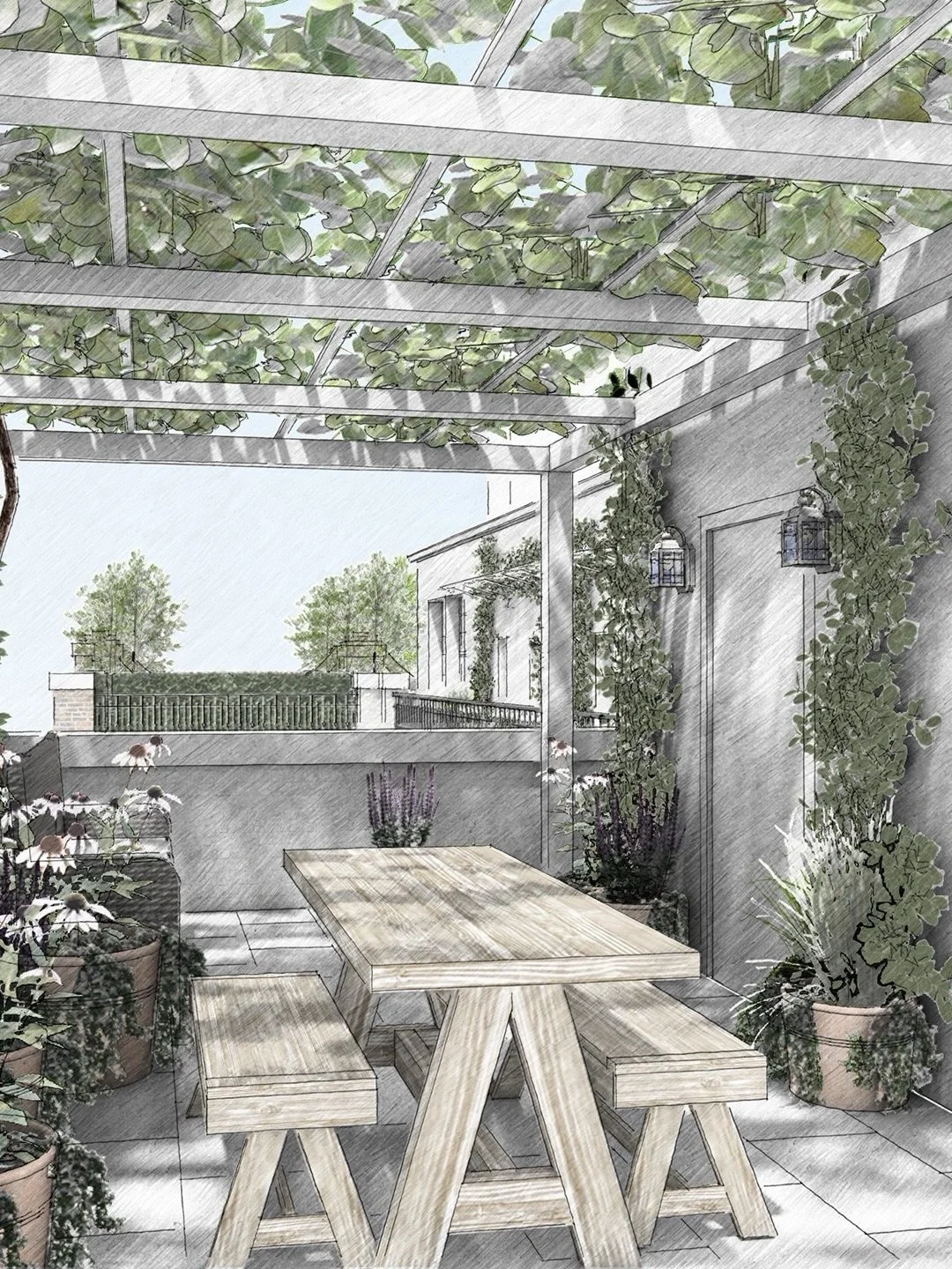 Verticality is key to creating successful urban gardens.

Pergolas, pleached trees and living walls introduce height, define space and provide privacy without compromising openness. Combined with layered planting, they transform exposed penthouse ter