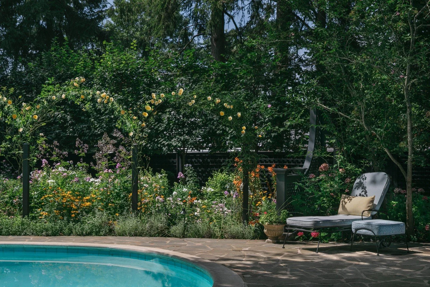 Swipe for the before. 

Pool and perennial garden on a completed project in upstate NY. 

#BeforeAfter #GardenTransformation #SwimmingPoolTransformation