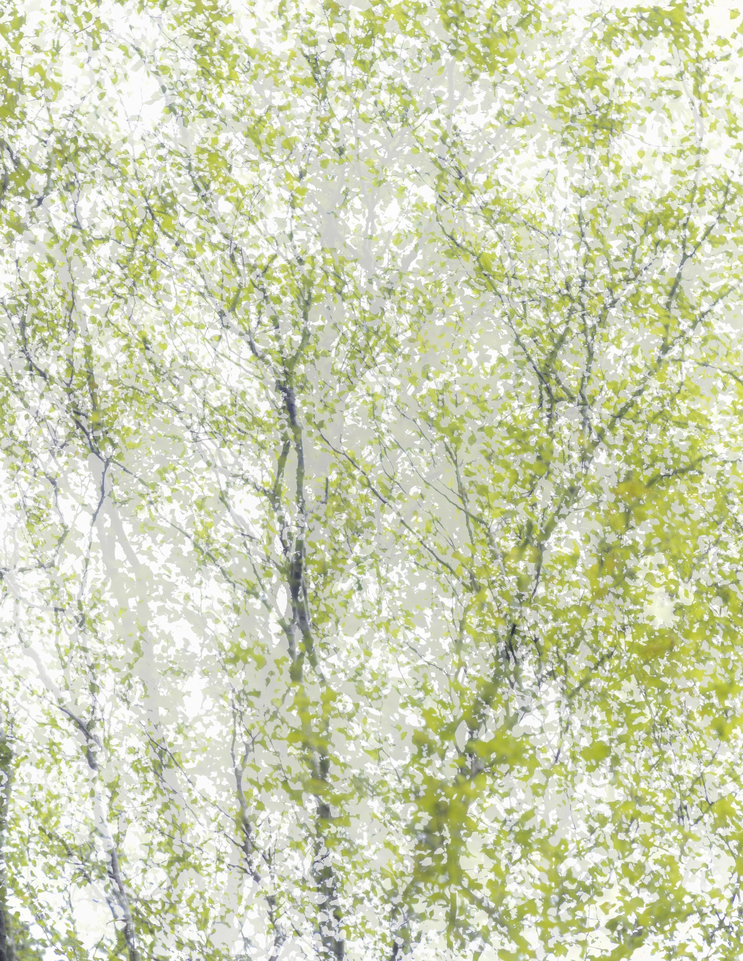 Summer Breeze
| Photograph on fine art paper 1/5 | Price: £195