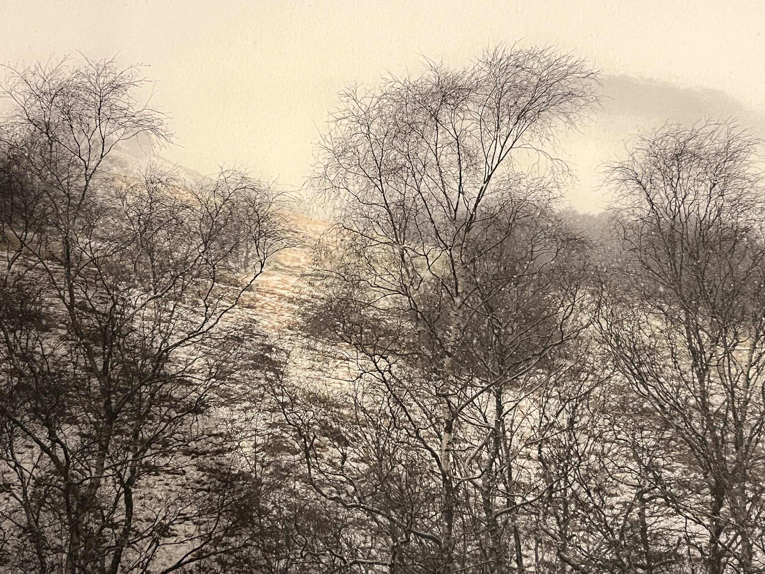 Winter Squall | Photograph on fine art paper 1/5 | Price: £195