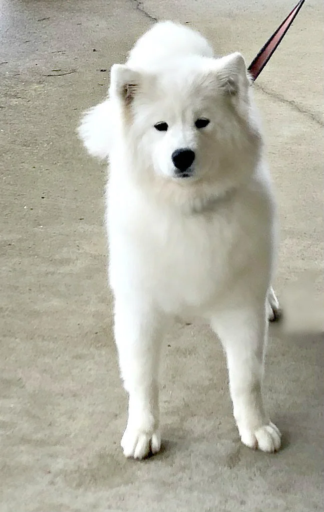 mischa website 1.jpg