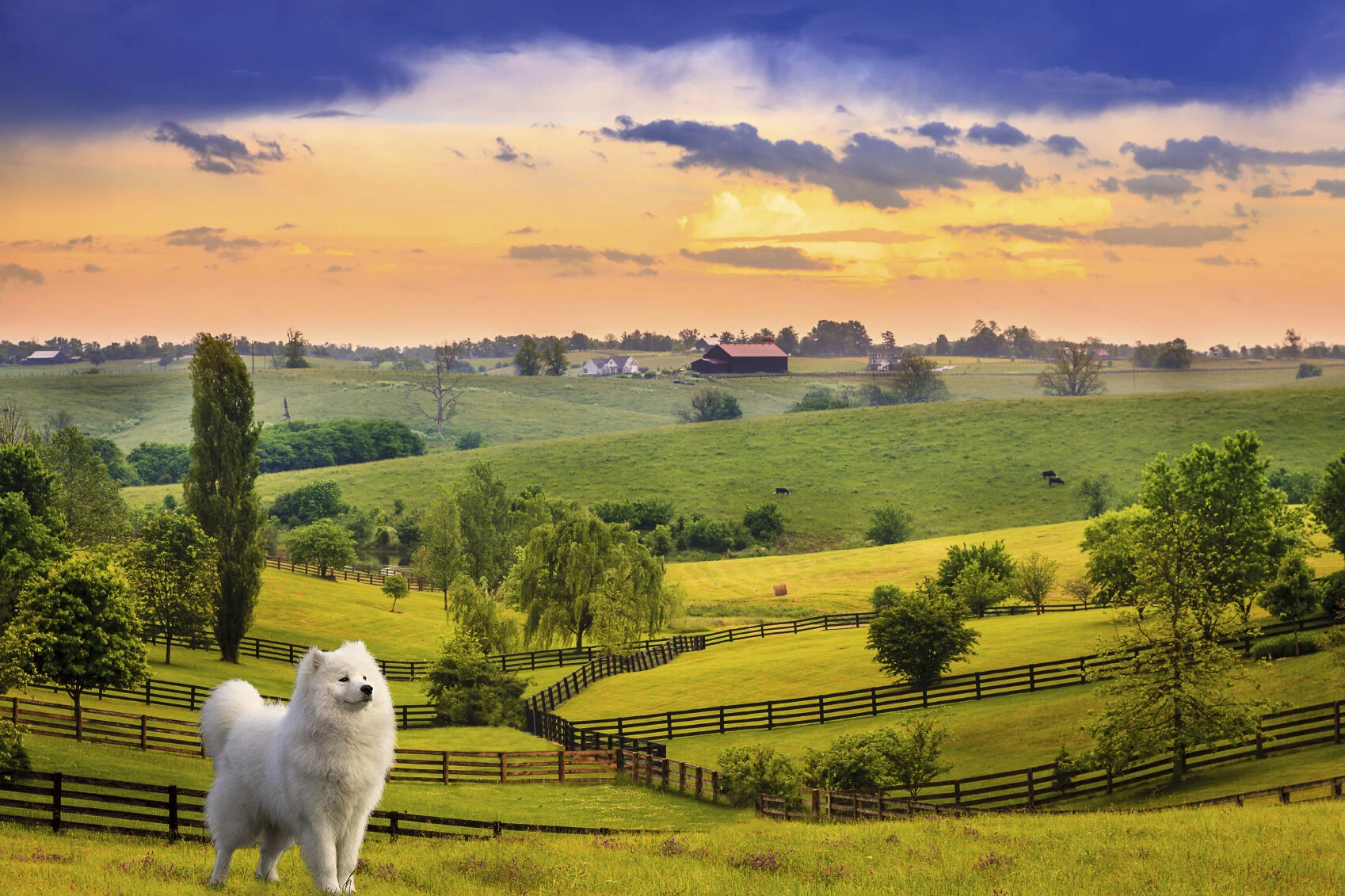 kentucky_edited (1).jpg