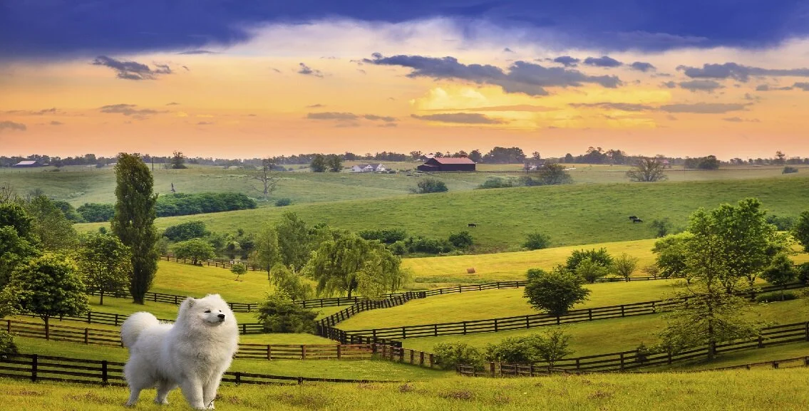 kentucky_edited (4) - Copy.jpg