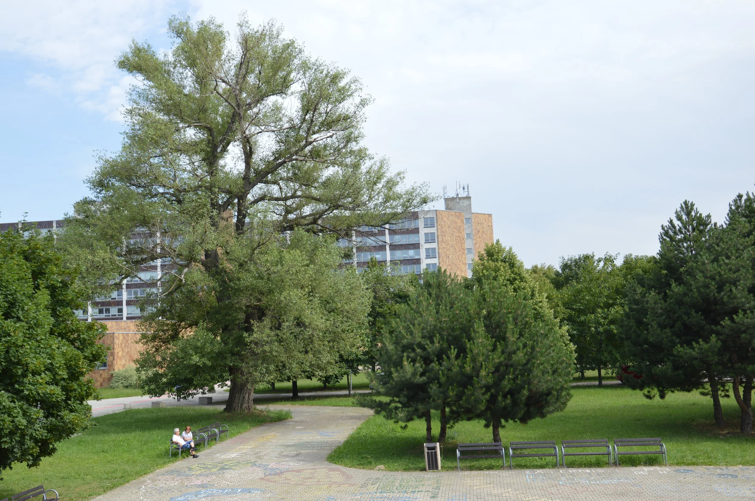 DSC_0010.JPG