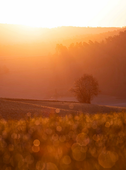 Sunrise 2.png