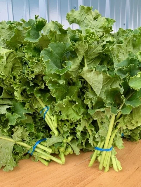 kale_bunch.JPG